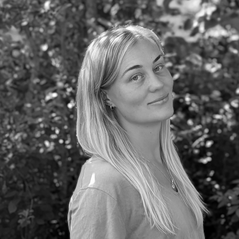 Martina Willners författare Sol förlag