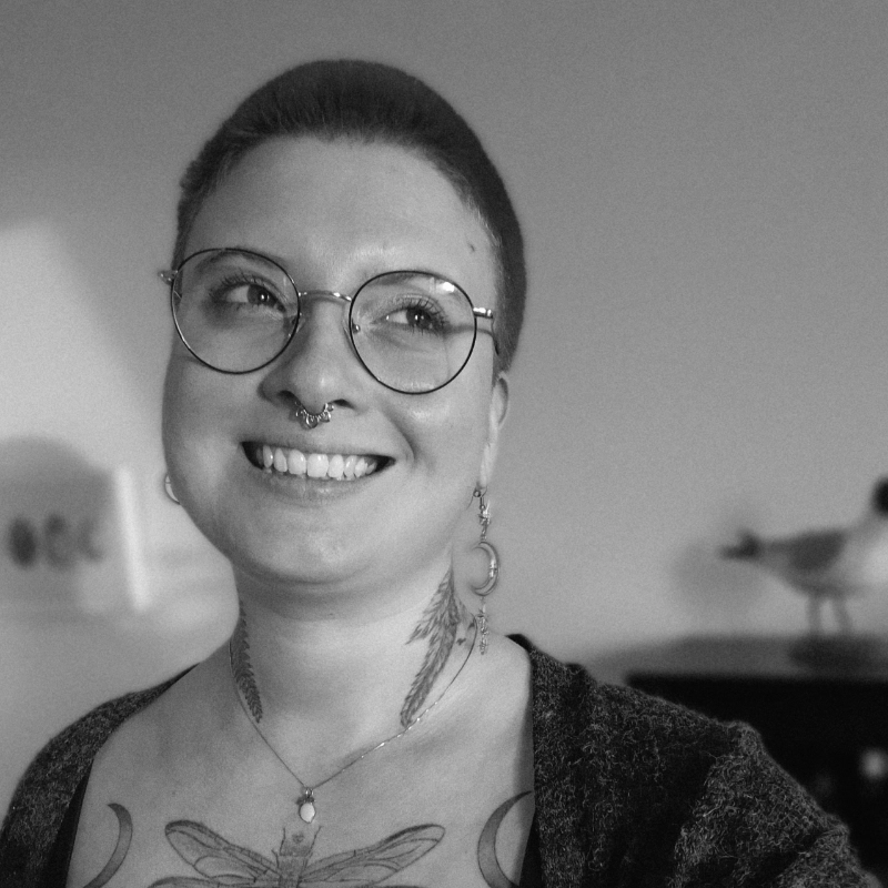 Mona Amanda Hedenberg författare Sol förlag