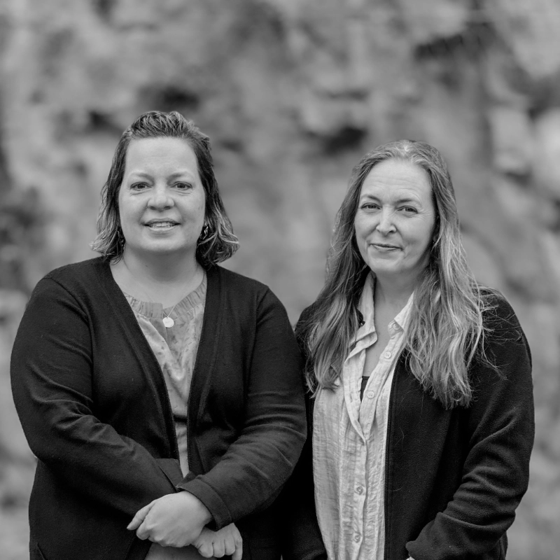 Therése Hember Rydèn & Tove Selvåg Drott Författare Sol förlag
