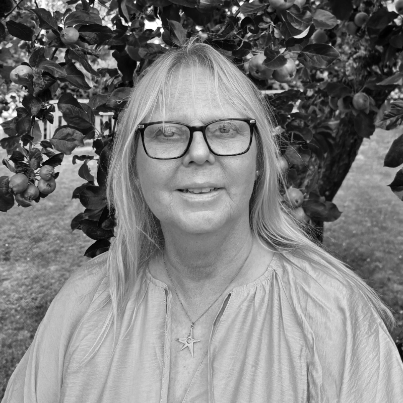 Ulrica Alström författare Sol förlag